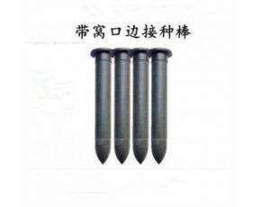 食用菌接種棒