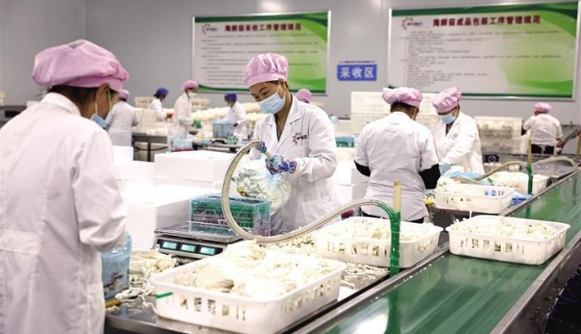 陜西省山陽縣：食用菌產(chǎn)業(yè)能致富 輻射帶動全縣100余個基地形成產(chǎn)業(yè)鏈