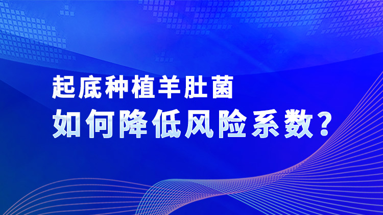 起底種植羊肚菌如何降低風(fēng)險(xiǎn)系數(shù)？