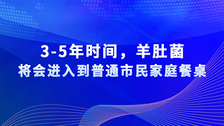 3-5年時(shí)間，羊肚菌將會(huì)進(jìn)入到普通市民家庭餐桌
