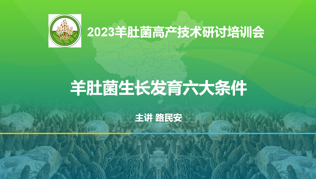 路老師：羊肚菌生長(zhǎng)發(fā)育的六大條件