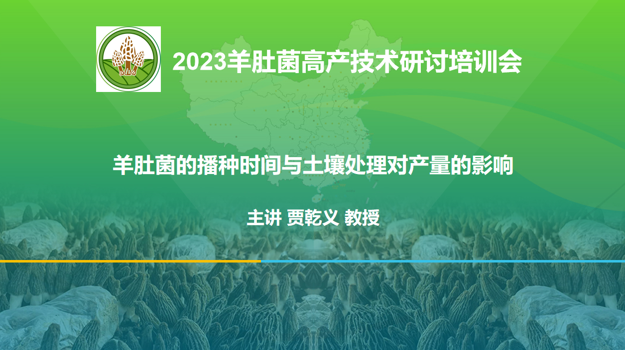 羊肚菌的播種時(shí)間與土壤處理對(duì)產(chǎn)量的影響