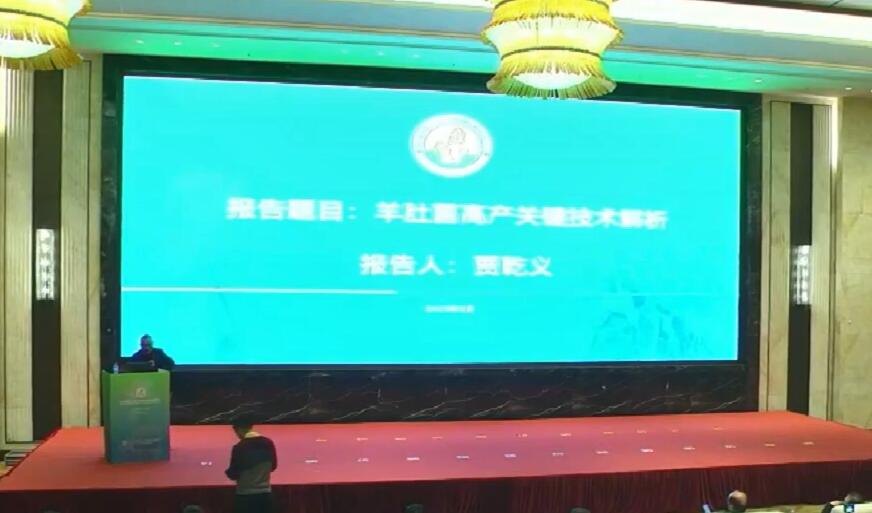 賈乾義：羊肚菌高產(chǎn)關(guān)鍵技術(shù)解析