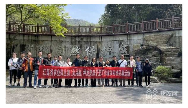 首次實(shí)地采集！江蘇開展農(nóng)業(yè)微生物（食用菌）種質(zhì)資源普查