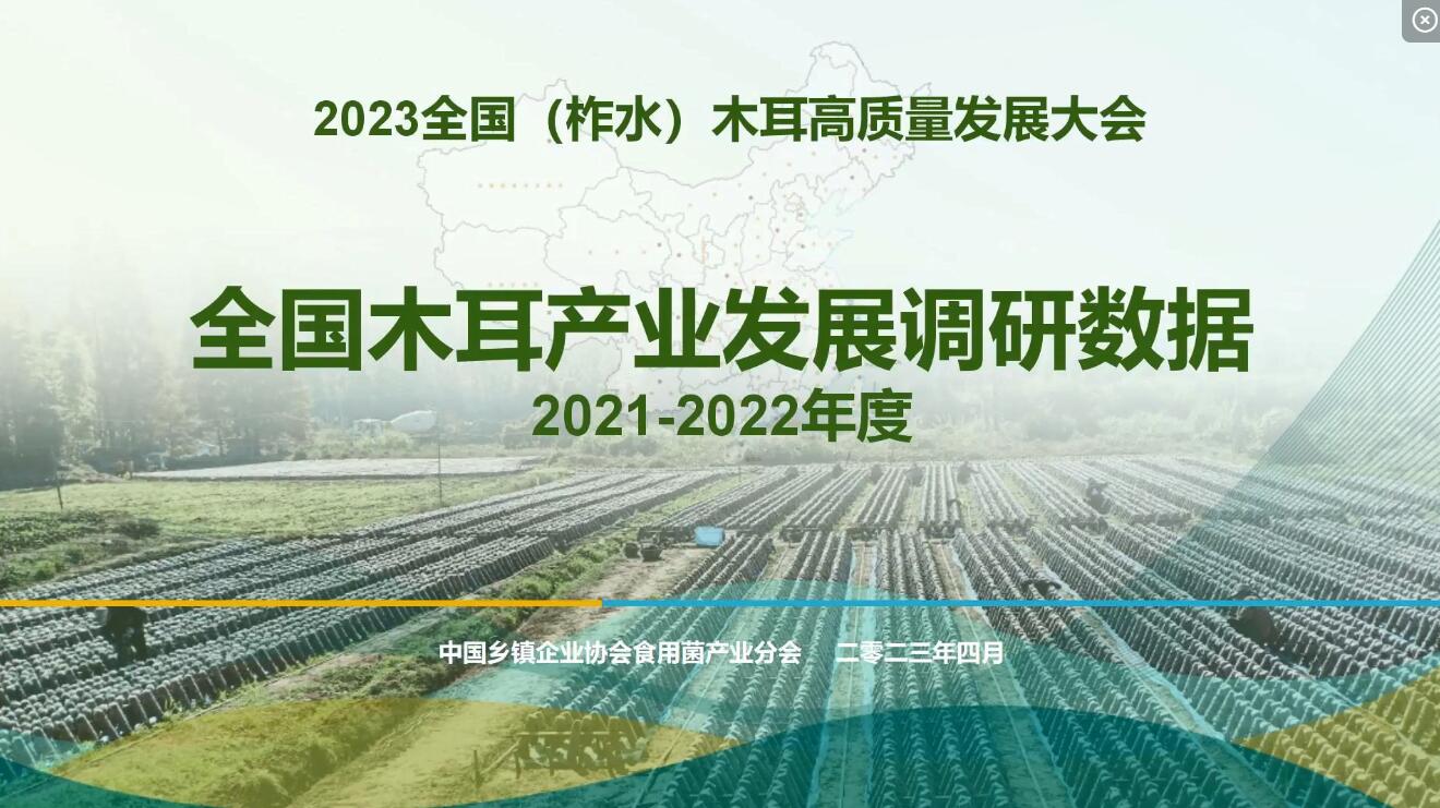 2021-2022年度全國(guó)木耳產(chǎn)業(yè)調(diào)研數(shù)據(jù)-李昊
