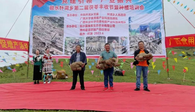 廣西融水：組織第二屆茯苓豐收節(jié)暨種植培訓(xùn)會