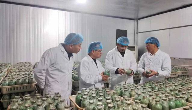 食用菌專家技術(shù)指導(dǎo)昊陽農(nóng)業(yè)