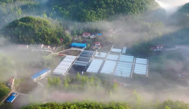 力爭突破2000萬元銷售額，南漳裕農(nóng)菌業(yè)沖刺“開門紅”