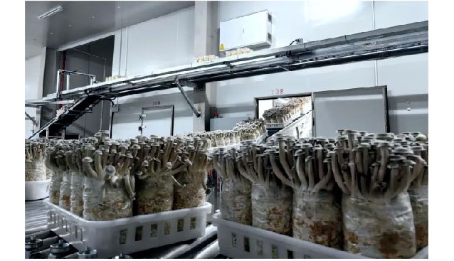 鴻升生物申請(qǐng)新三板掛牌，掛牌股份總量為31,168,800股