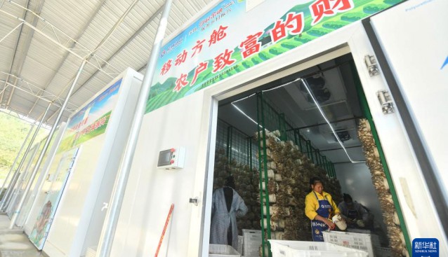 廣西德?？h：智慧方艙種食用菌，助力鄉(xiāng)村振興