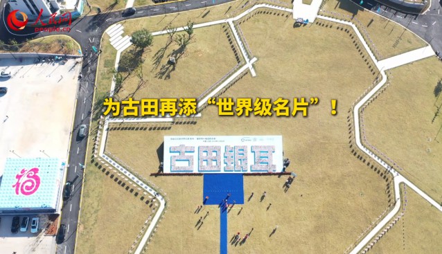 15000張菌菇照片，刷新吉尼斯世界紀錄