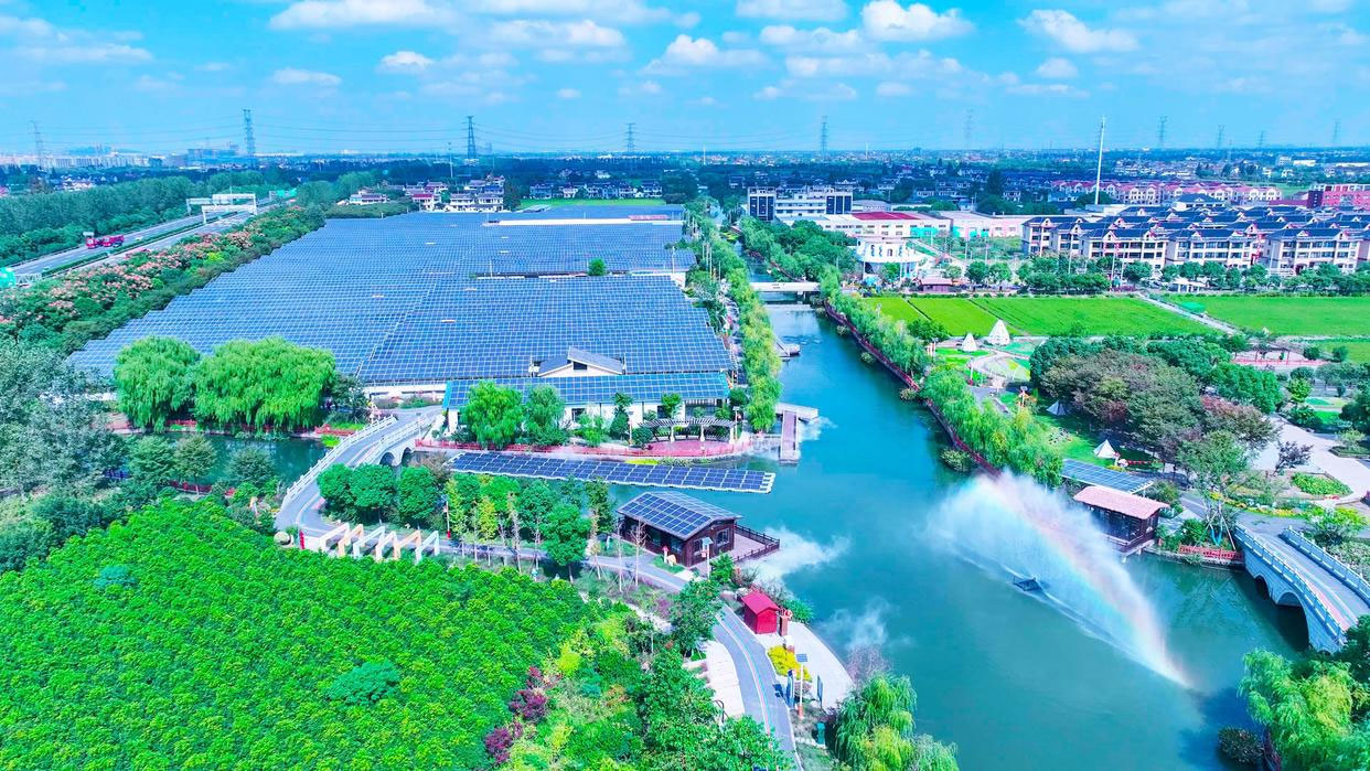 從養(yǎng)豬到種菇，浙江海寧鄉(xiāng)村實(shí)現(xiàn)綠色蛻變