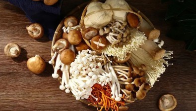 菌菇為什么是理想的減重食材