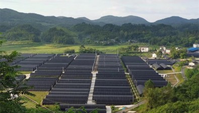 貴州道真縣：已成功建立10個食用菌園區(qū)