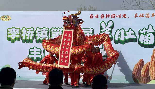 北京順義李橋鎮(zhèn)第三屆羊肚菌采摘季開幕