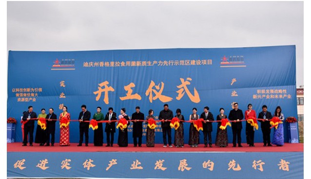 香格里拉食用菌新質(zhì)生產(chǎn)力先行示范區(qū)建設(shè)項(xiàng)目開工