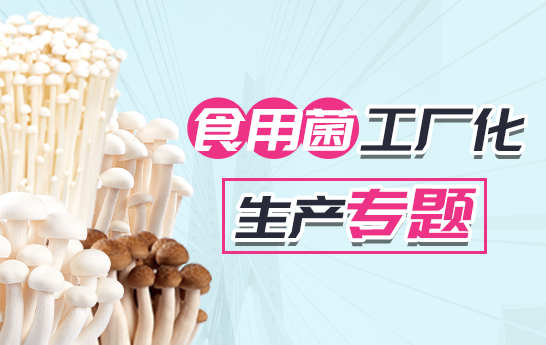 食用菌工廠化生成專題
