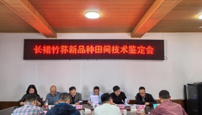 長裙竹蓀新品種“宜長裙1號”通過田間技術(shù)鑒定