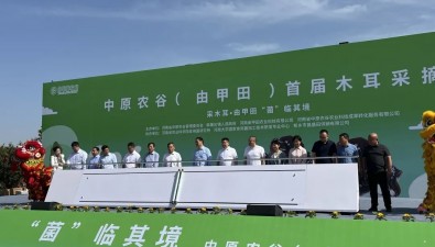 “菌”韻悠長！中原農(nóng)谷韓董莊鎮(zhèn)（由甲田）首屆木耳采摘節(jié)開幕