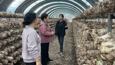 遼寧省農(nóng)科院食用菌所專家到新賓縣開展技術(shù)服務(wù)活動(dòng)