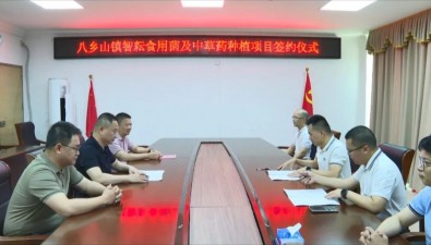 總投資5000萬元，食用菌及中草藥種植項(xiàng)目簽約落地