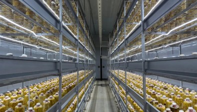 浙江磐安縣建成全市首個(gè)智慧菌菇方艙共富基地