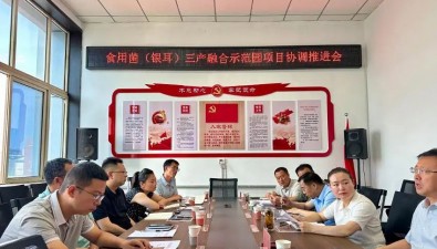 山西長子縣召開食用菌（銀耳）三產(chǎn)融合示范園項目協(xié)調(diào)推進會