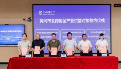 總金額1.2億元！產(chǎn)學(xué)研供需對(duì)接會(huì)簽約食藥用菌超過5000噸