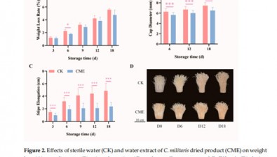 上海農(nóng)科院食用菌研究所科研團隊在蛹蟲草兩項研究取得新進展