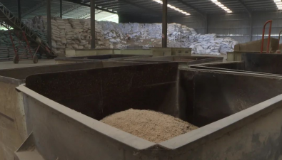 福建古田：秸稈變身食用菌“營養(yǎng)餐”，走出降本增效新路徑