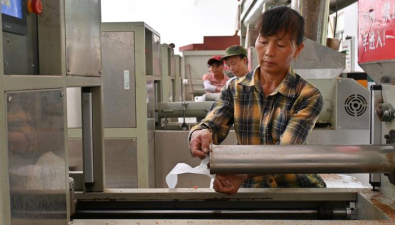 安徽：祁門縣小路口鎮(zhèn)菌棒加工生產忙