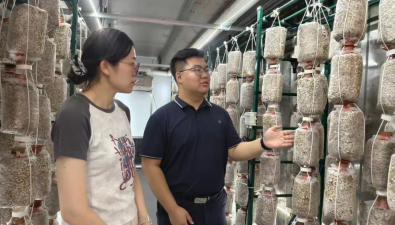 山東：臨朐縣智慧蘑菇方艙正式投入使用
