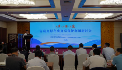 五省區(qū)聯(lián)手守護“軟黃金”，青藏高原冬蟲夏草保護刻不容緩！